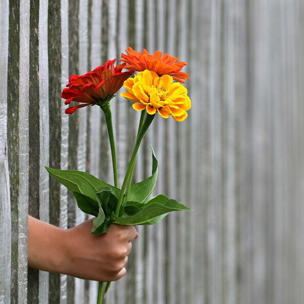 Eine Hand reicht einen Blumenstrauß durch einen Gartenzaun